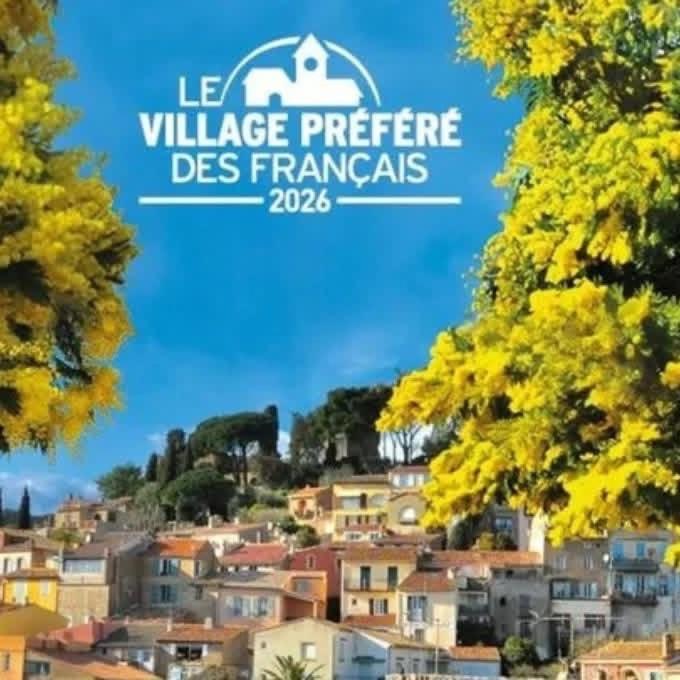Villa SARRAIRE - Villa avec Piscine Privée - 6