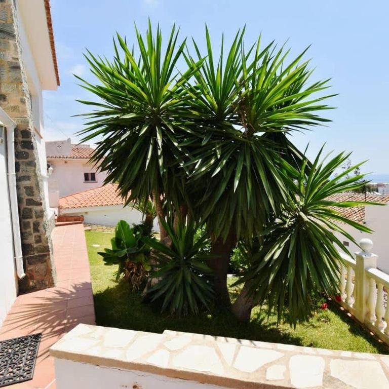 Family Villa Pool Sea Views & Walk to Beach - Villa - 37