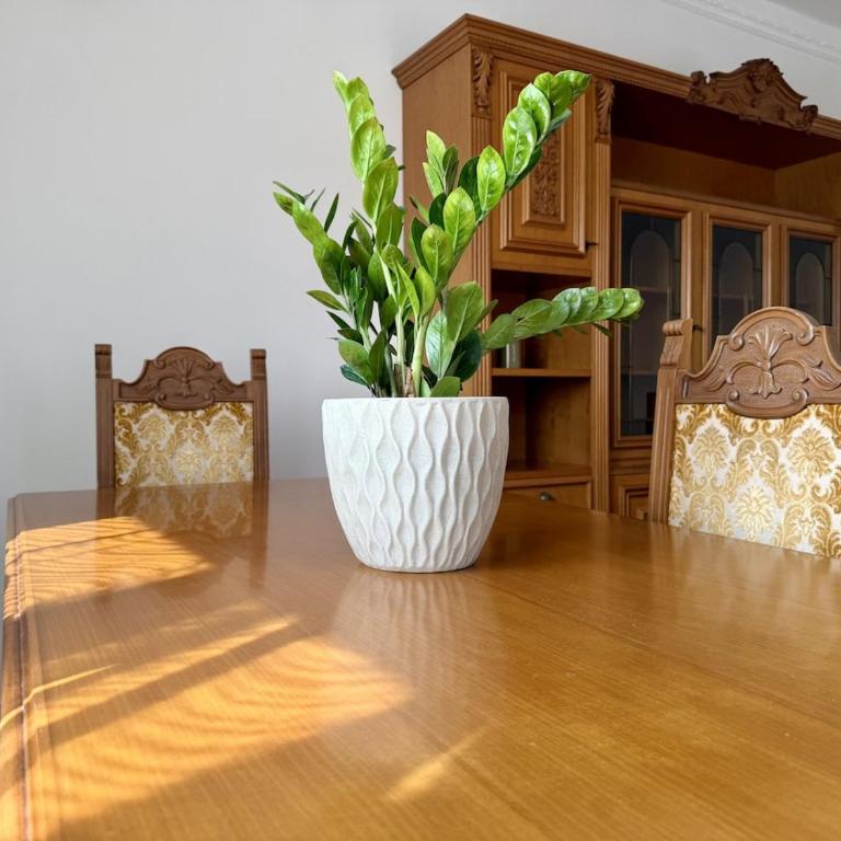 HOST4U - Beautiful Apartment with 3 Bedrooms in Imperia - Three-Bedroom Apartment - 3