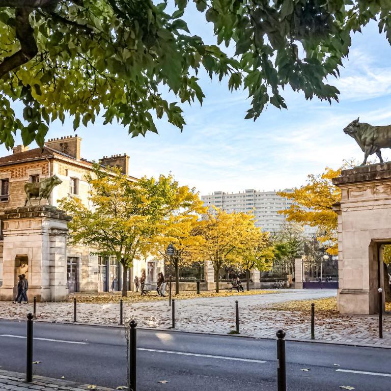 Renovated apartment, spacious and well located - Appartement 1 Chambre - 5