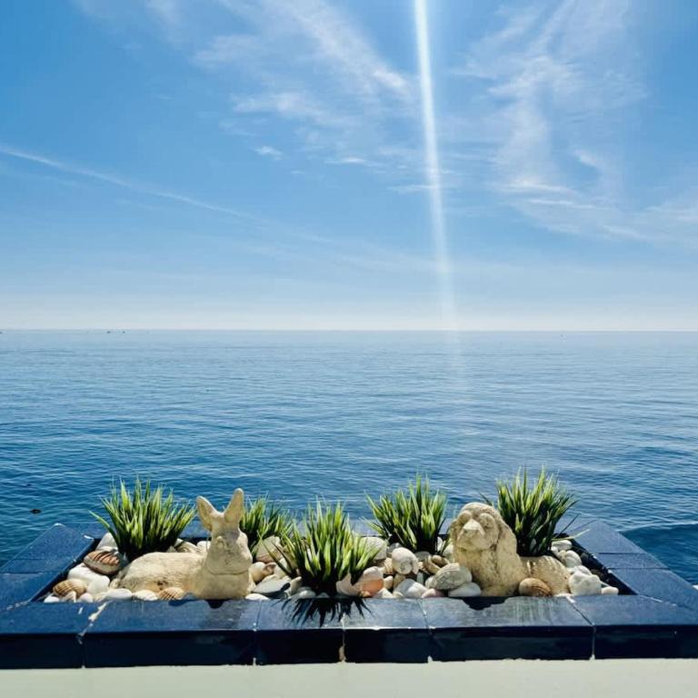 Panoramic Seafront Apartment with Terrace - Apartamento - 1