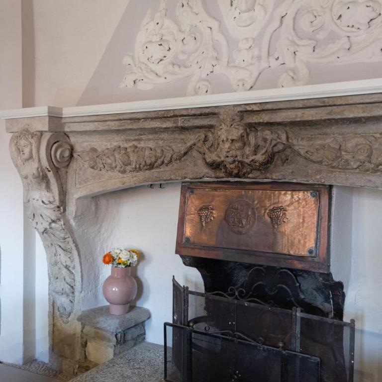 Antica Villa Branca by Lago Maggiore Rentals - Villa - 67