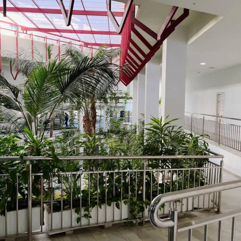 Rare 2BR Benal Beach Heated Pool & Slides - Apartment - 37