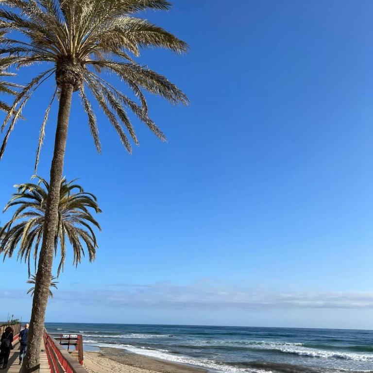 Walk to Beach Pool Garden & BBQ House - Apartamento - 34