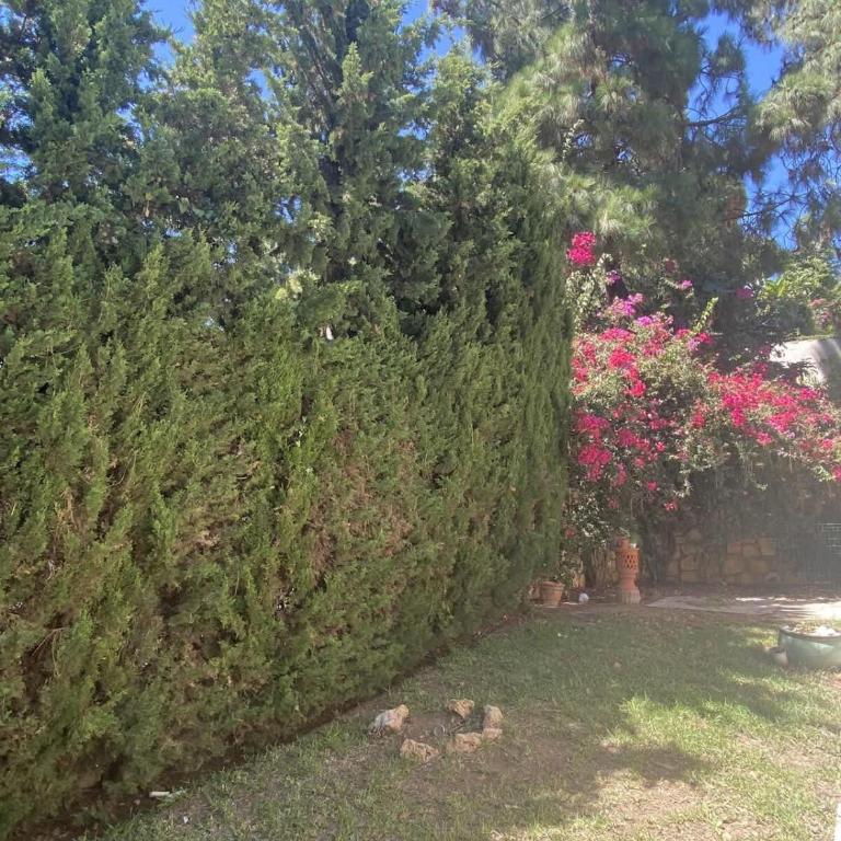 Large Calahonda Villa Pool Hot Tub & Garden - Apartamento - 29
