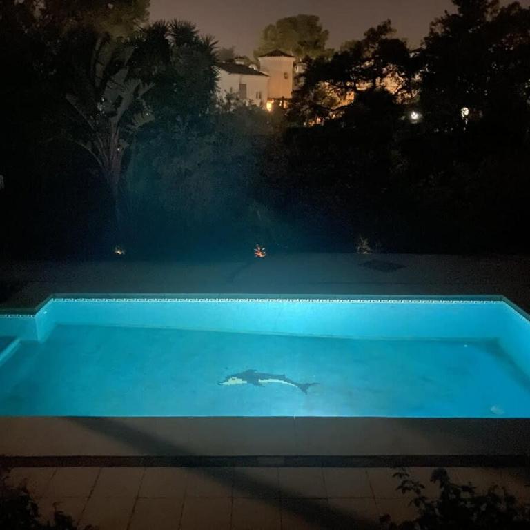 Large Calahonda Villa Pool Hot Tub & Garden - Apartamento - 37