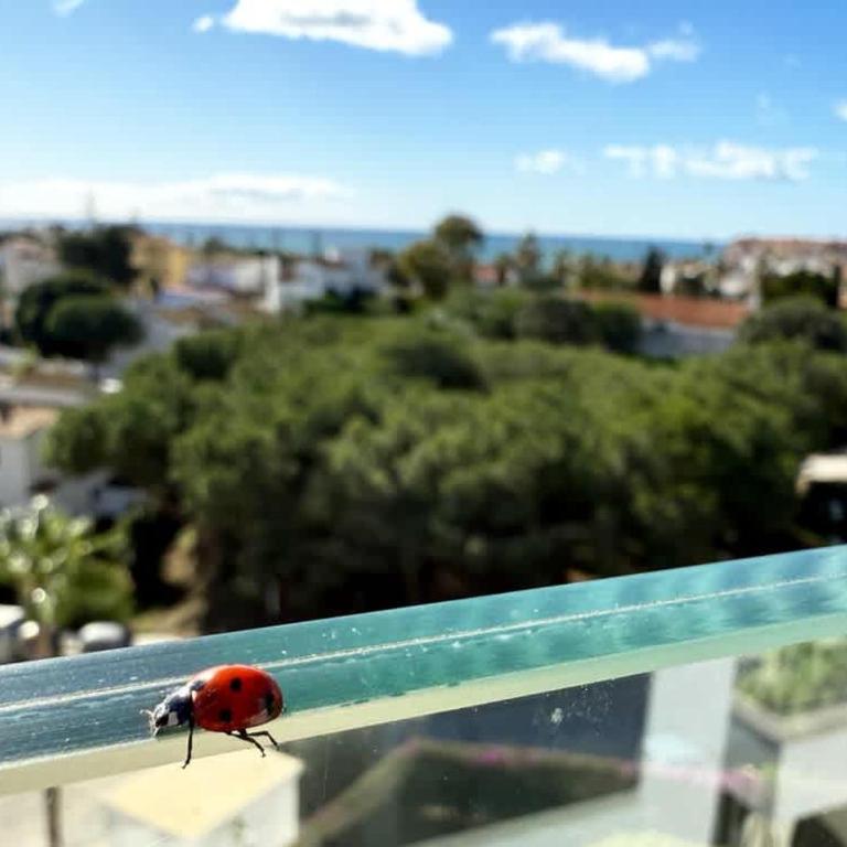 Top-Floor Apartment Private Pool & Sea Views - Apartamento - 58