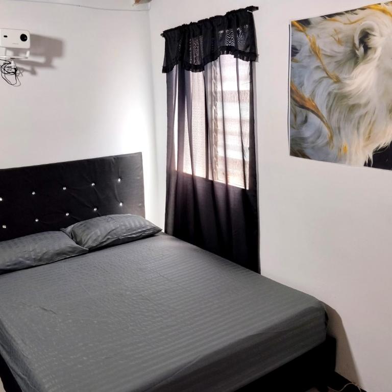 Hábitat Nexus - One-Bedroom Apartment - 4