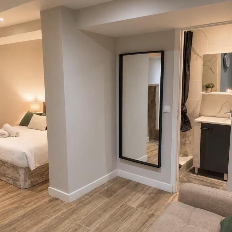 Souplex avec cave voutée 40m2 coeur de ville! - Apartamento de 1 dormitorio - 4