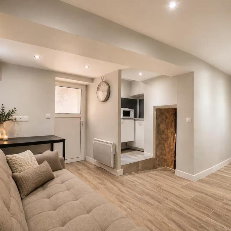 Souplex avec cave voutée 40m2 coeur de ville! - Apartamento de 1 dormitorio - 6