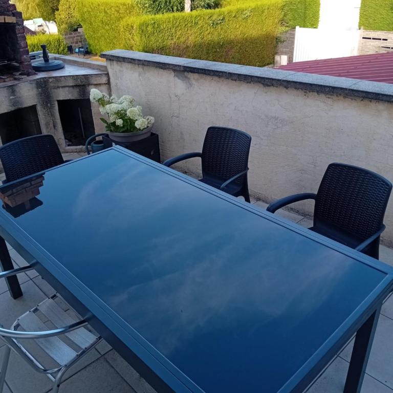 oiseau bleu - Maison 1 Chambre - 9