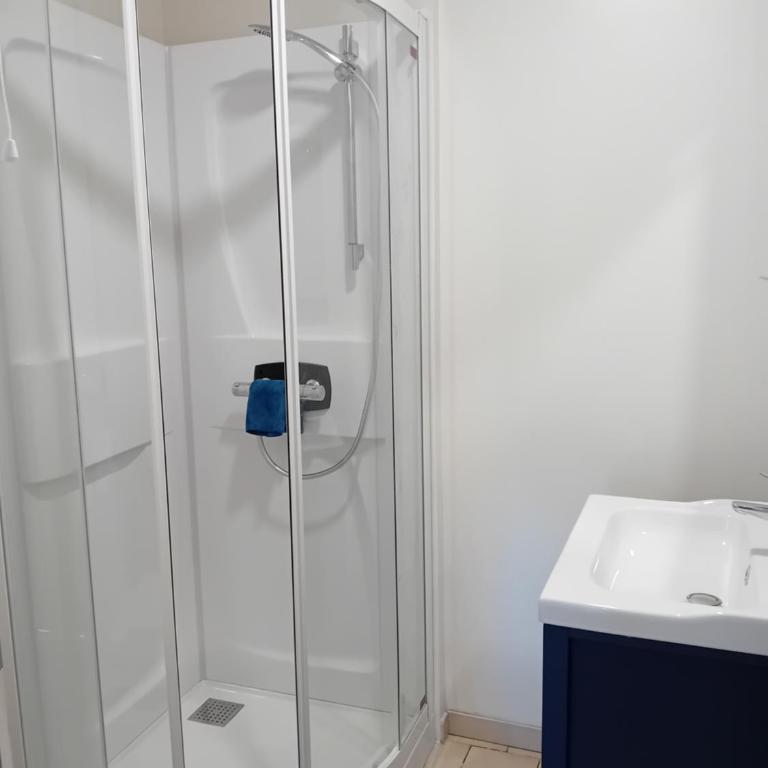 oiseau bleu - Maison 1 Chambre - 5