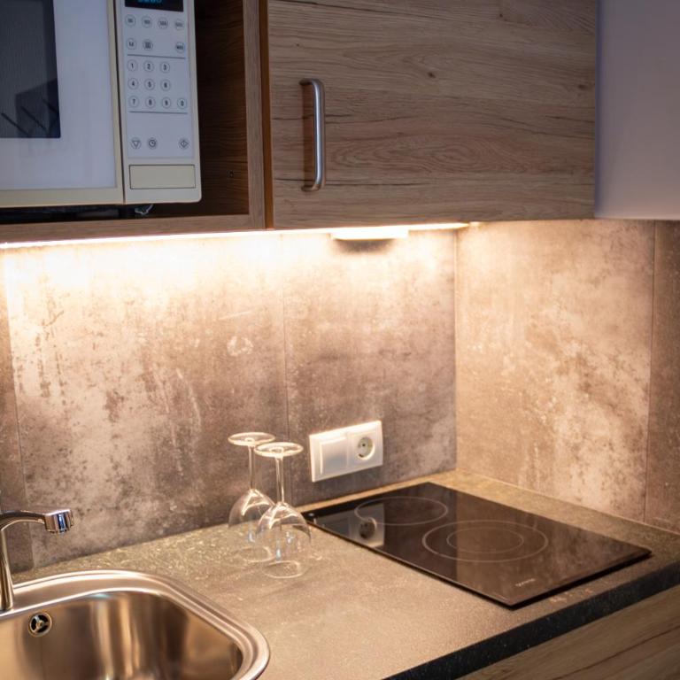 Holzmannhof - Studio Apartment - 1