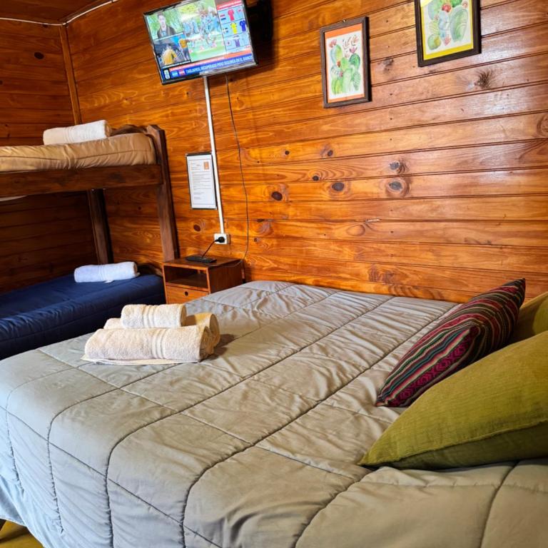 Hostal del Suri - Habitación Doble con baño privado - 3