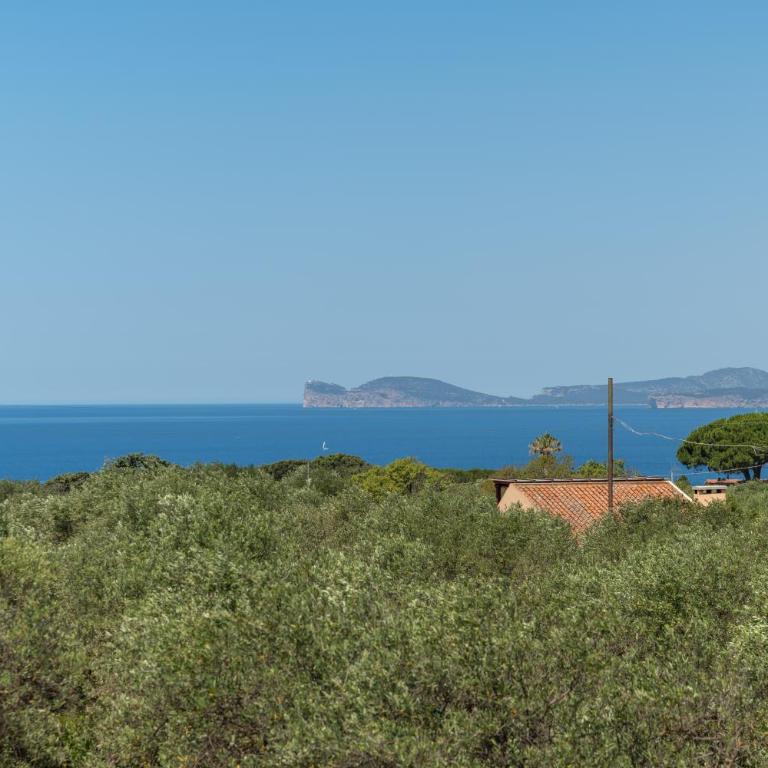 Il Belvedere di Padre Bellu - vista mare Alghero - Appartamento con 1 Camera da Letto, Vista Mare e Terrazza - 22