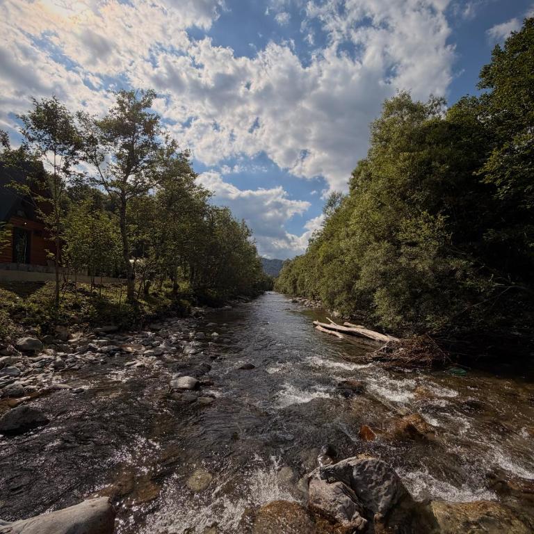 Riverwood Luxury Cabins - Chalet mit 2 Schlafzimmern - 19