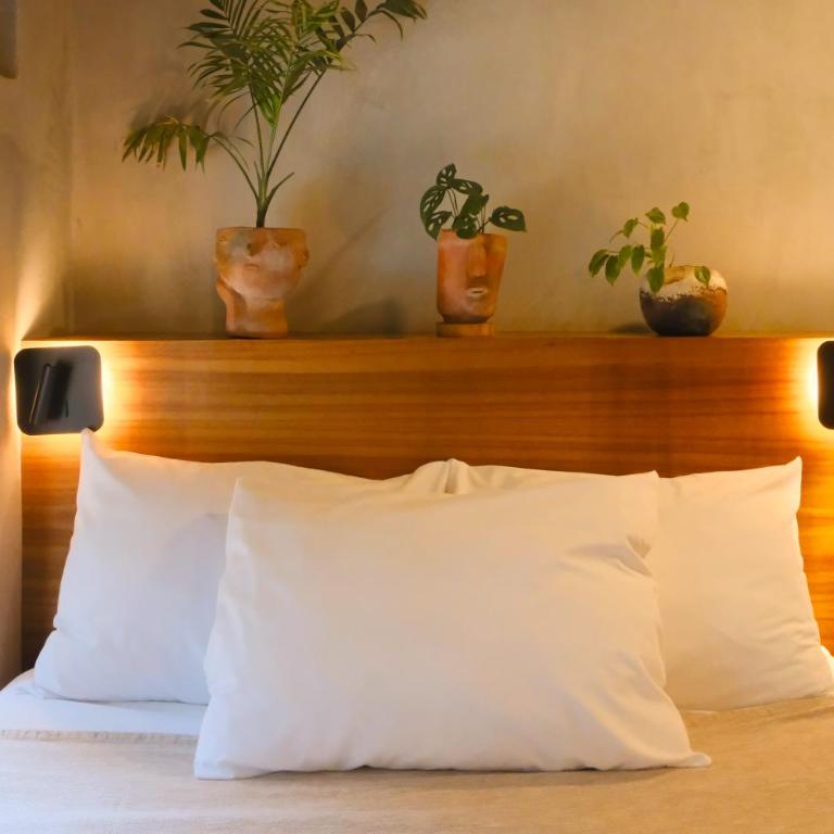 Nectar Hotel, Cafe, Cowork - Adults Only - Habitación Doble - 4