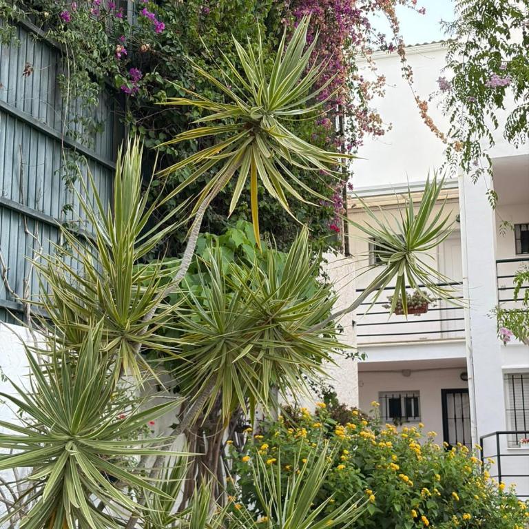Mi Oasis - Apartamento de 2 dormitorios - 4