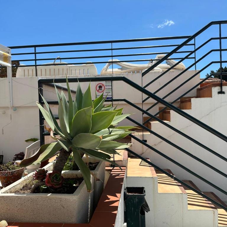Mi Oasis - Apartamento de 2 dormitorios - 28