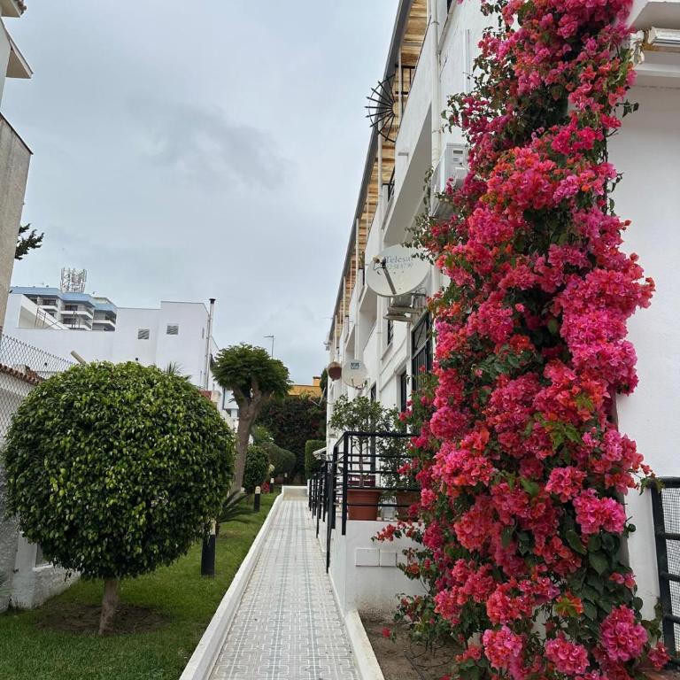 Mi Oasis - Apartamento de 2 dormitorios - 50