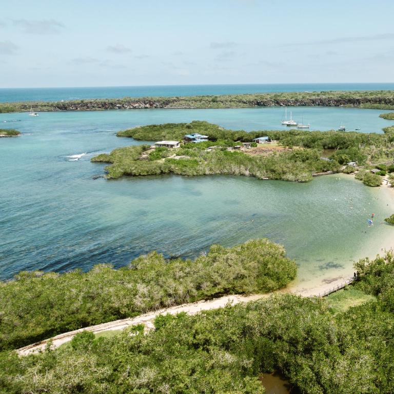Mangrove Suite by Blue Heron Galapagos - Apartamento de 1 dormitorio - 4