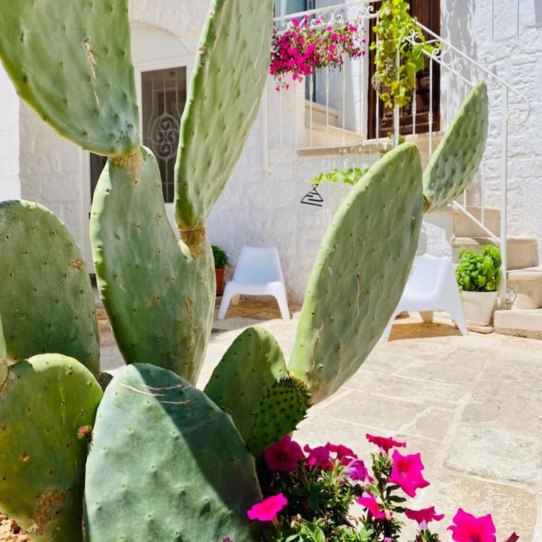 Trulli Arcolaia | Antico Fienile - Trullo with city view - 3