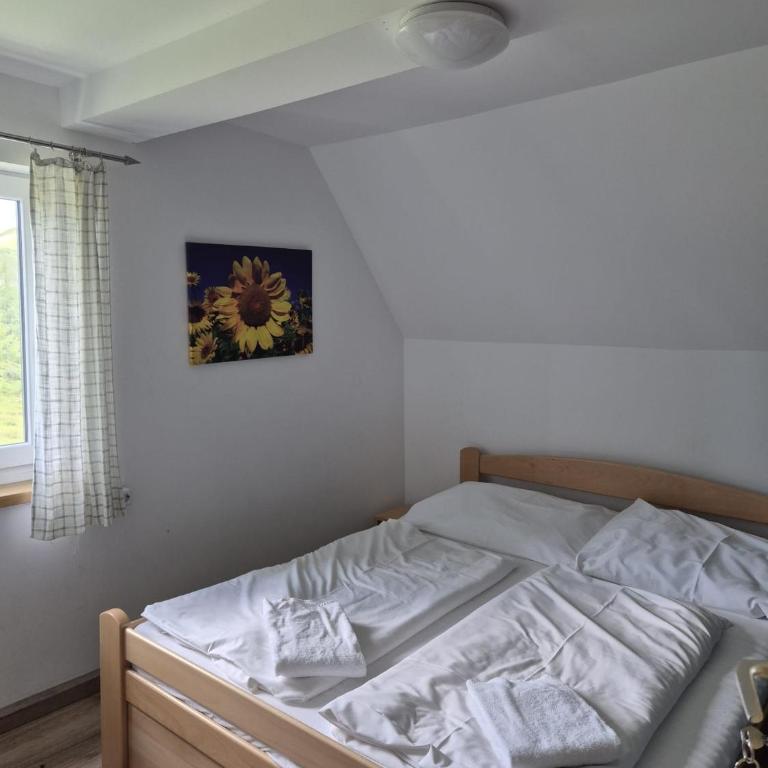 Tauplitzhaus der Naturfreunde - Naturfreundehaus auf der Tauplitzalm - Schutzhütte - Chambre Double - Vue sur Montagne - 25