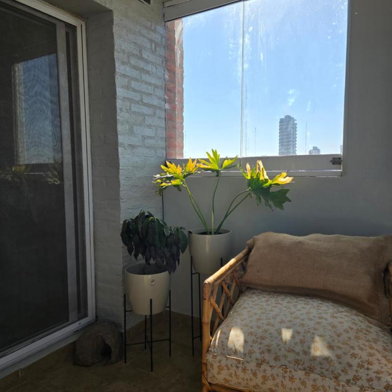 NAT home - Apartamento de 1 dormitorio - 4