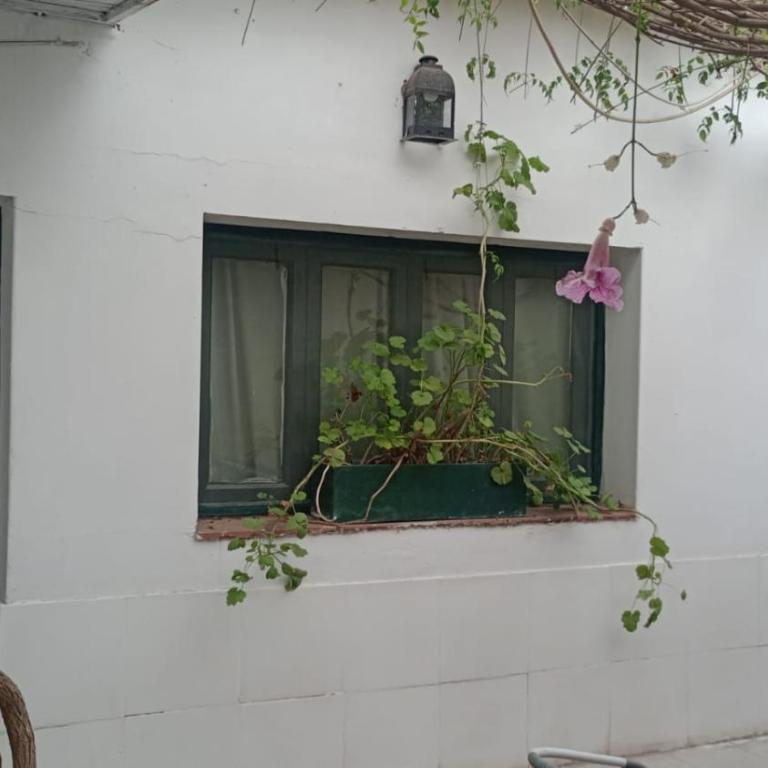 Bussola - Apartamento de 1 dormitorio - 6