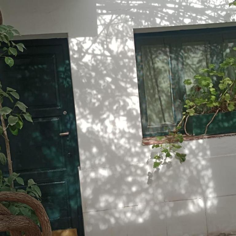 Bussola - Apartamento de 1 dormitorio - 8