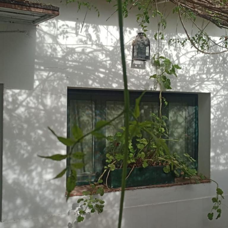 Bussola - Apartamento de 1 dormitorio - 10