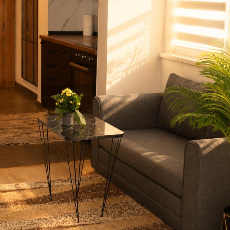 Obsidian Residence Sarajevo-Modern Apartment near Airport with free parking - King Studio with Sofa Bed - 5