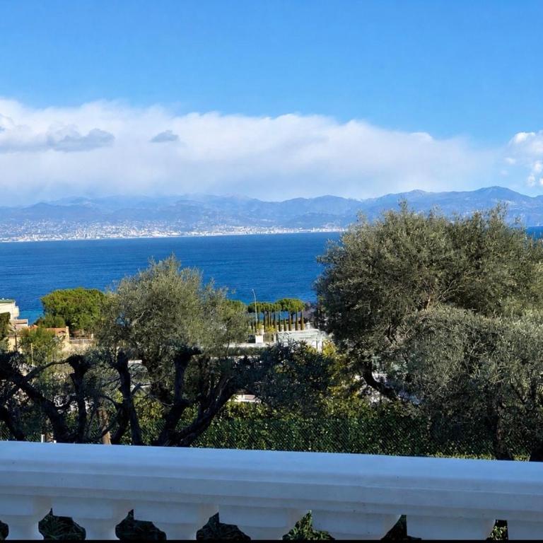 Bienvenuty villa in Cap - One-Bedroom Apartment - 28