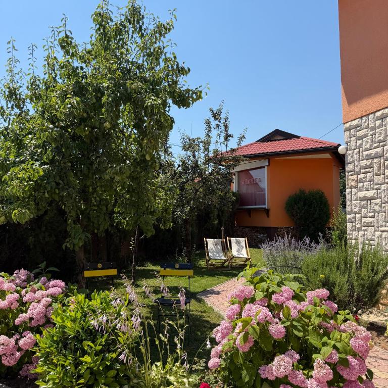 Apartments Flora - Appartement 1 Chambre - 7