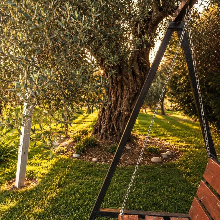 Private Pool Villa, Olive Grove & Big Yard - Vila sa 3 Spavaće Sobe - 25