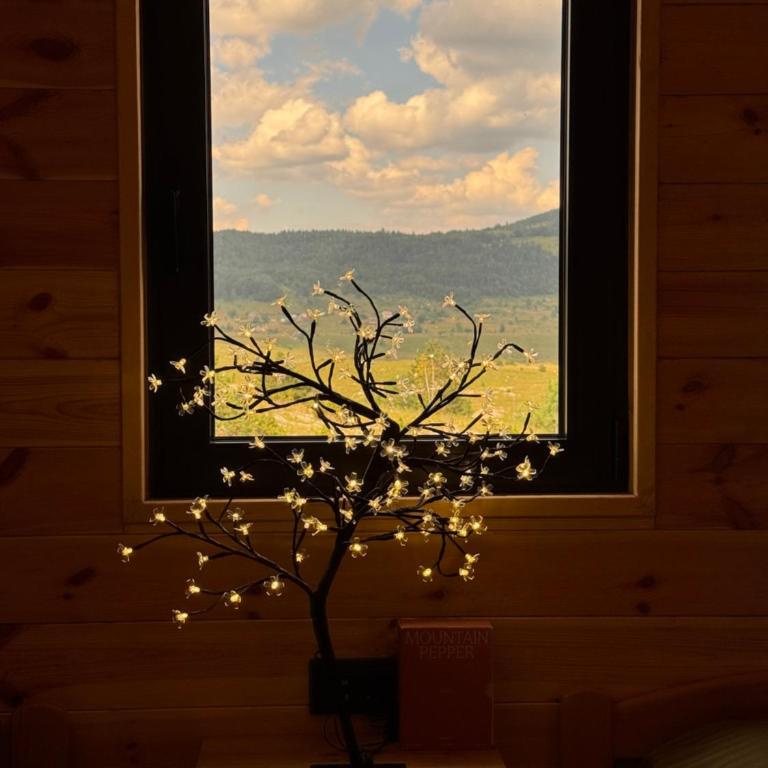 Aurelia Chalet - Apartman sa 2 Spavaće Sobe - 33