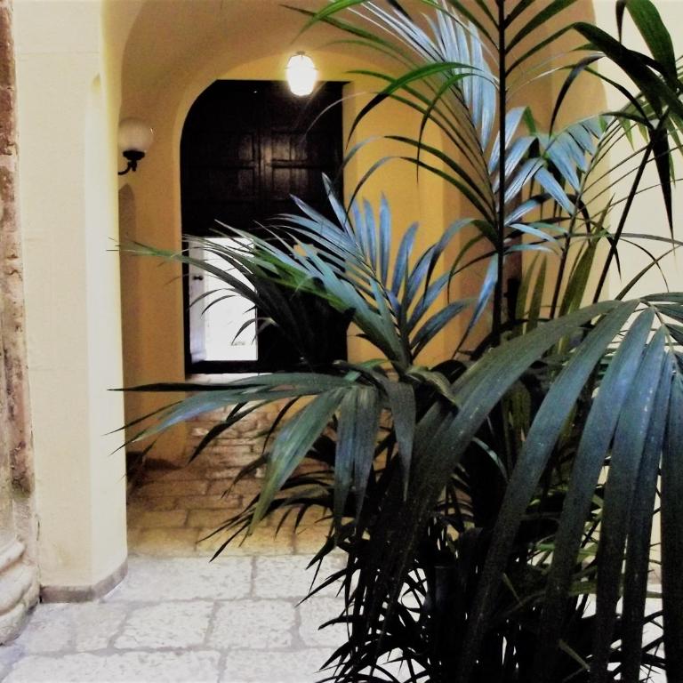 Scabi Apartments - Casa Vacanze - 20