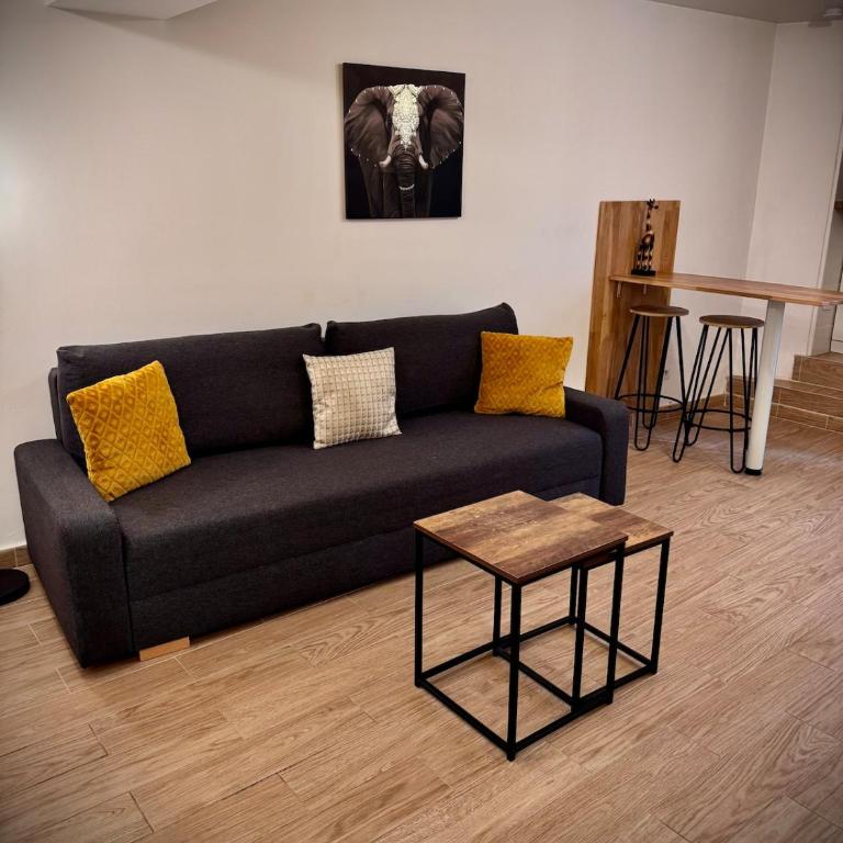 L'Atelier du Voyageur - Appartement Orléans - Appartement 1 Chambre - 4