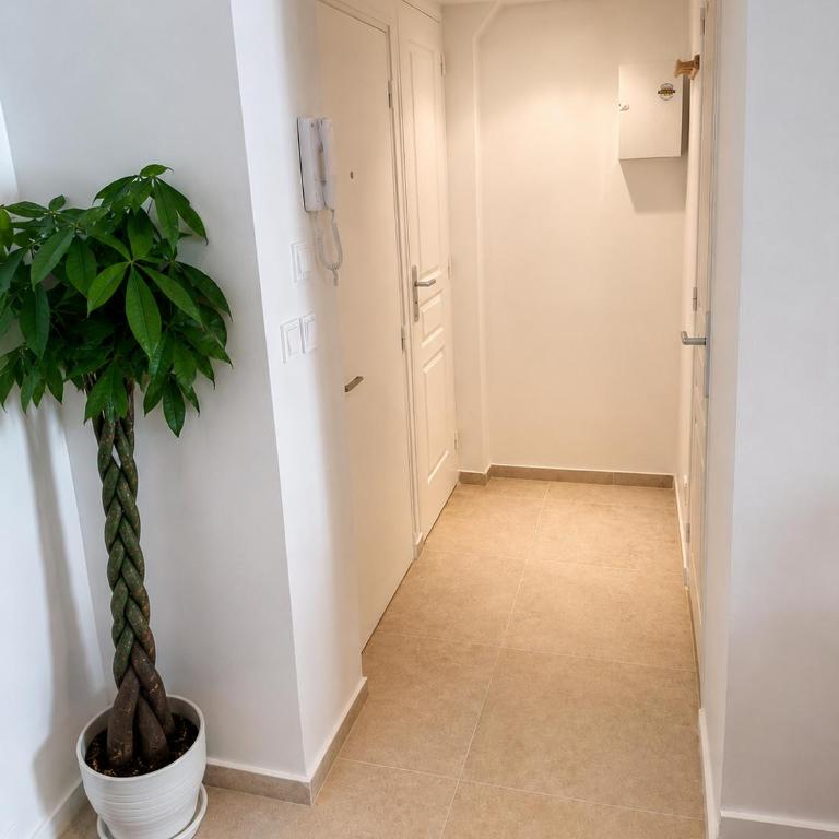 T2 avec extérieur Vauban, notre Dame de la garde , Vieux port - Appartement 1 Chambre - 4