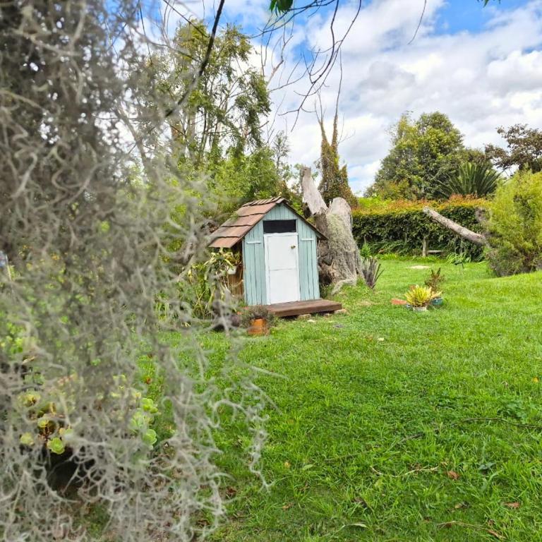 La Guaca - Three-Bedroom House - 16