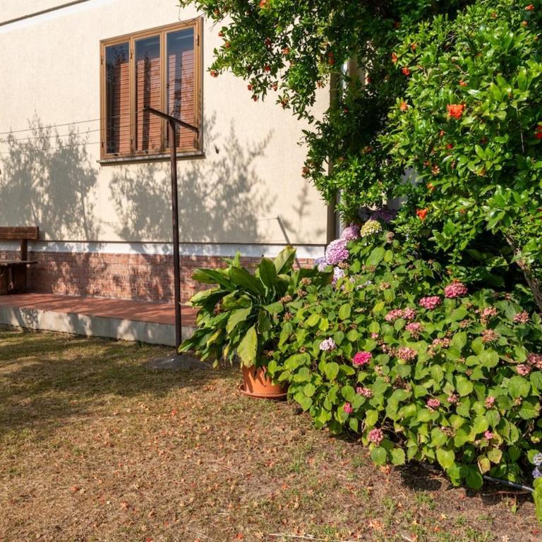 Nice apartment with ac and parking near the spa - Apartment mit 2 Schlafzimmern - 18