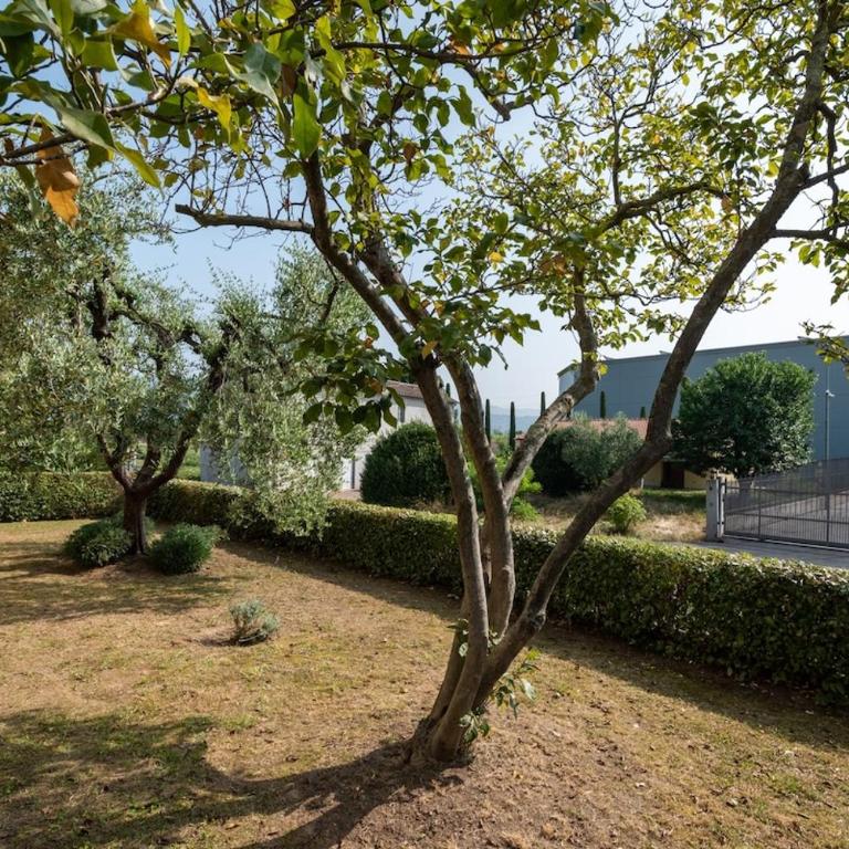 Nice apartment with ac and parking near the spa - Apartment mit 2 Schlafzimmern - 20