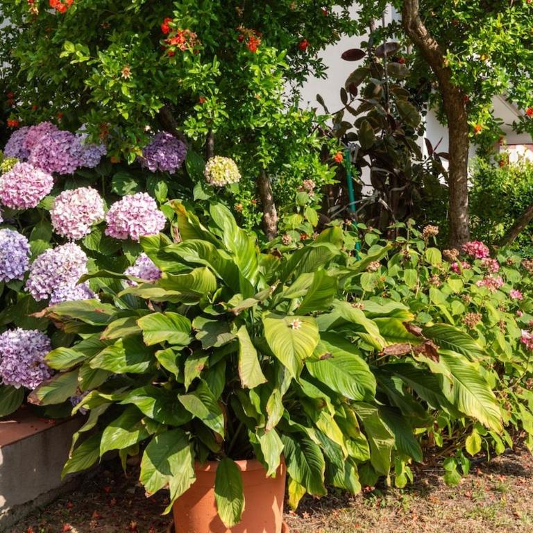 Nice apartment with ac and parking near the spa - Apartment mit 2 Schlafzimmern - 53
