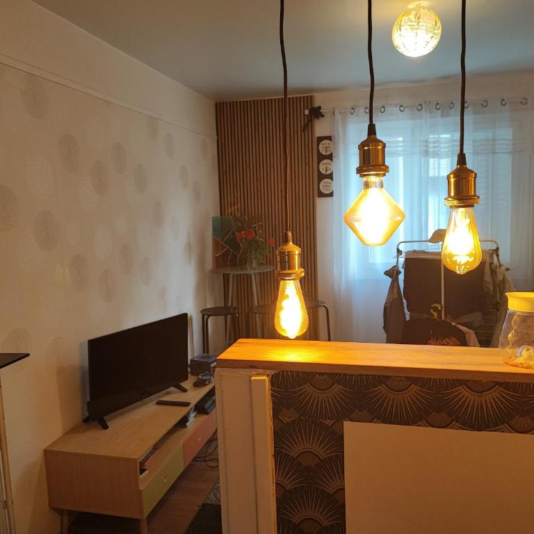 Amboise -Blaise Pascal- jardin Lecocq - Appartement 2 Chambres - 3