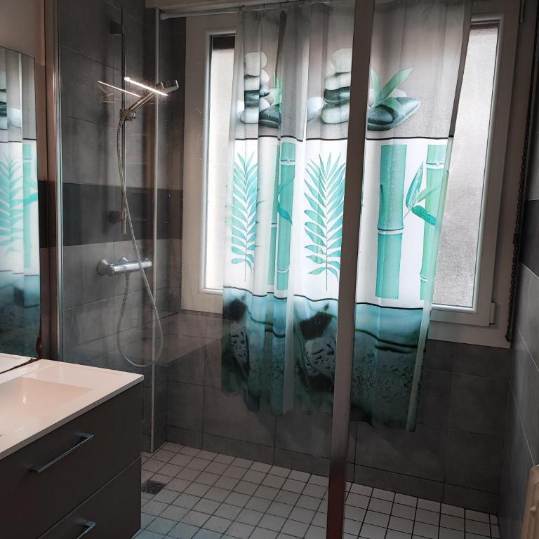 Amboise -Blaise Pascal- jardin Lecocq - Appartement 2 Chambres - 5