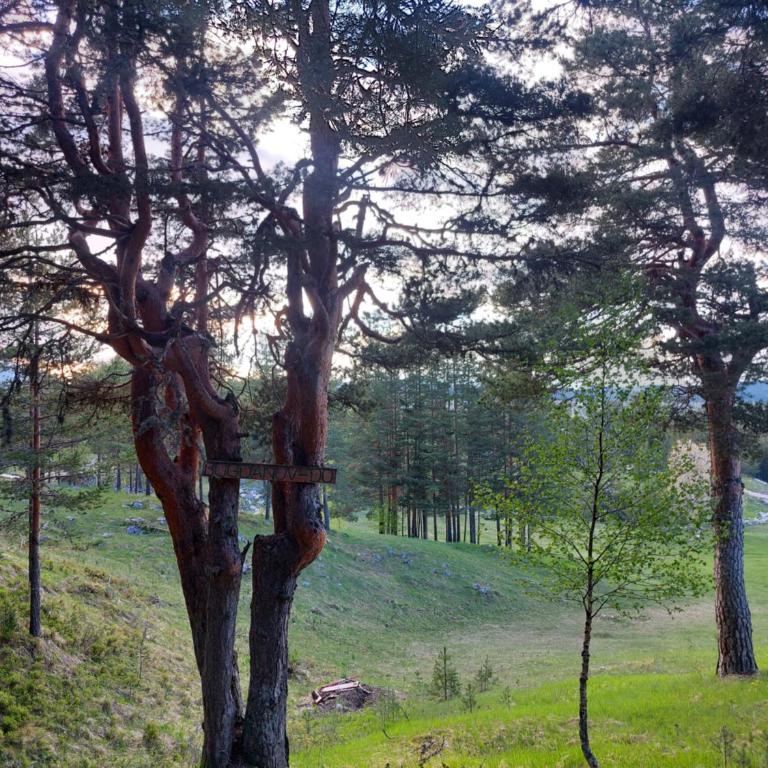 Aurelia Chalet - Apartman sa 2 Spavaće Sobe - 32