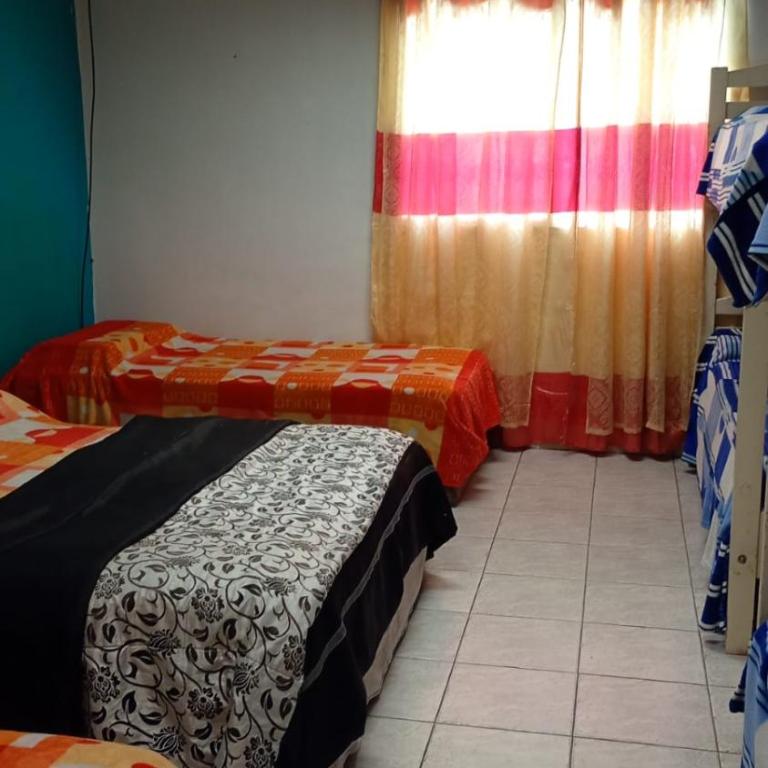 Plaza Hostal Salta - Cama Individual en habitación compartida femenina - 1