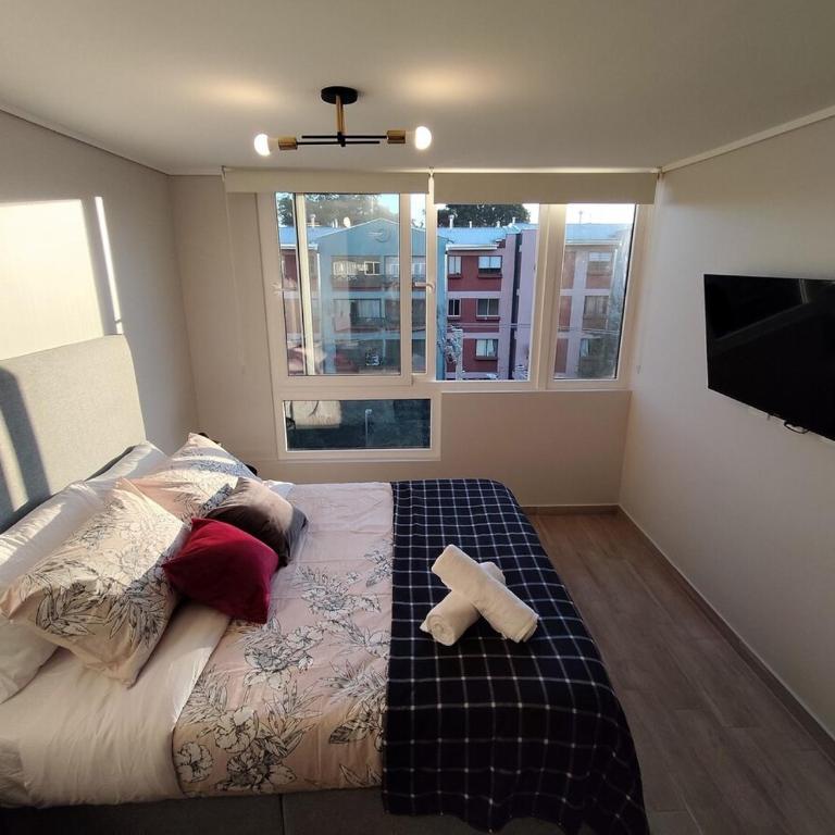 Movistar Arena Metro Parque O'Higgins 2 personas D527 - One-Bedroom Apartment - 11
