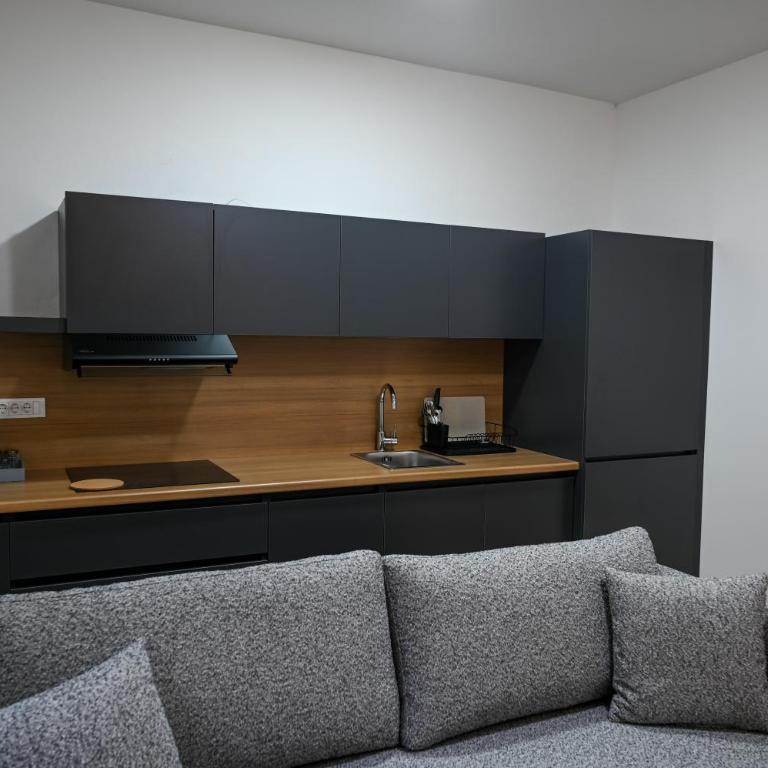 Hana boutique apartments - Deluks Apartman sa 1 Spavaćom Sobom i Pogledom na Grad - 9