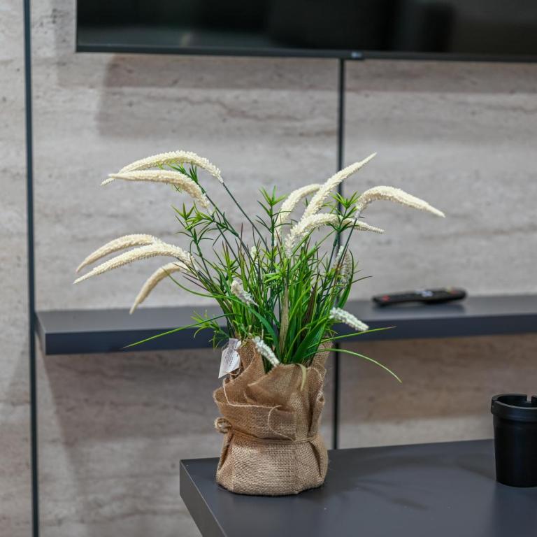 Hana boutique apartments - Apartman s 1 Spavaćom Sobom, Balkonom i Pogledom na More - 3